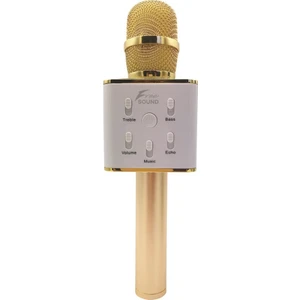 FS22 Gold Karaoke Mikrofon + Parti Topu