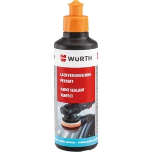 Boya Koruma Perfect 250 ml