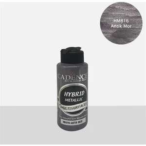 Multisurfaces 120 ml HM816 Antik Mor