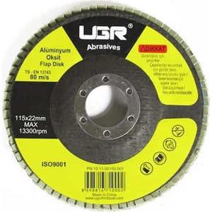 Ugr 115X22 mm Metal Ahşap Flap Disk Zımpara