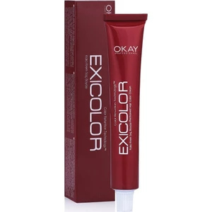 Saç Boyası Tüp 60 ml - Gümüş Rüya