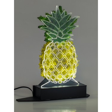 Benta Design 3d Ananas Soklanmis Yosun 3 Boyutlu Dekoratif Fiyati