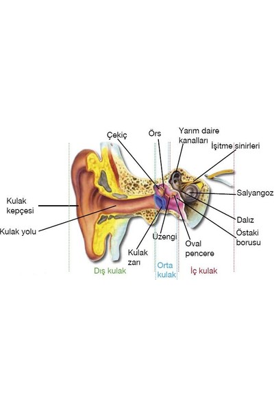 Relife 5 x Doğal Kulak Temizleme Mumu Çubuğu Vakumlu Ear Candle