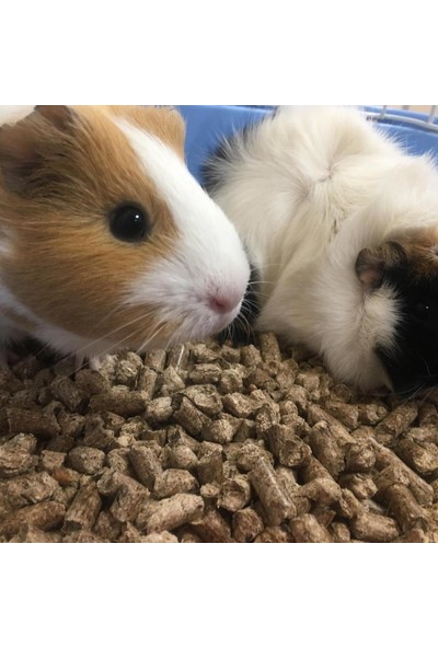 Kon-Çini Tarım Kemirgen Tavşan Hamster Ginepig Guinea Pig Pelet Maması Yemi 25 kg