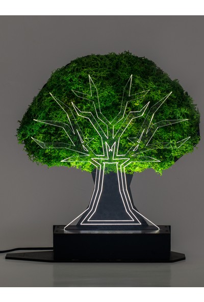 Benta Design 3D Şoklanmış Yosun Çınar Ağacı 3 Boyutlu Dekoratif LED Masa