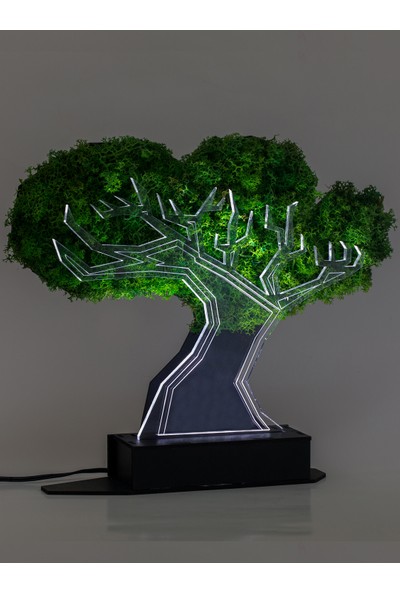 Benta Design 3D Şoklanmış Yosun Banyan Ağacı 3 Boyutlu Dekoratif LED Masa
