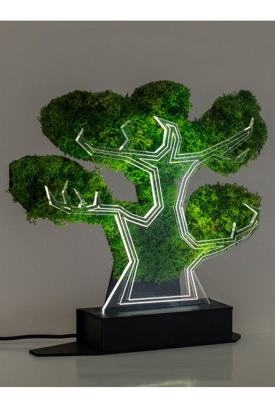 Benta Design 3D Şoklanmış Yosun Akçaağaç 3 Boyutlu Dekoratif LED Masa