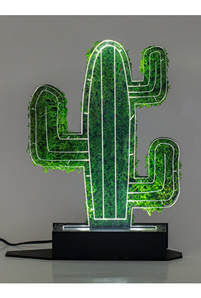 Benta Design 3D Kaktüs Euphorbia Şoklanmış Yosun 3 Boyutlu Dekoratif LED Masa