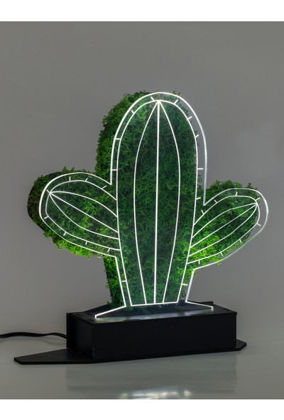Benta Design 3D Kaktüs Pilosocereus Şoklanmış Yosun 3 Boyutlu Dekoratif LED Masa