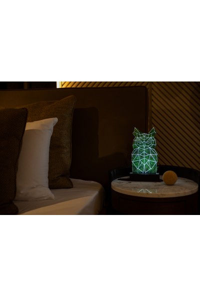 Benta Design 3D Baykuş Şoklanmış Yosun 3 Boyutlu Dekoratif LED Masa
