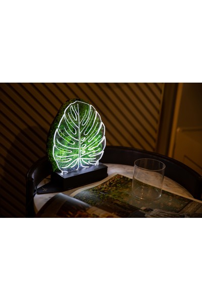 Benta Design 3D Monstera Devetabanı Şoklanmış Yosun 3 Boyutlu Dekoratif LED Masa