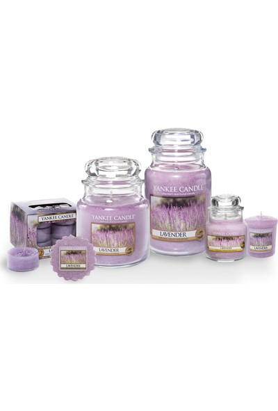 Yankee Candle Lavender Sampler