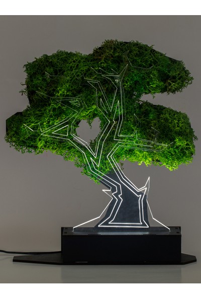 Benta Design 3D Şoklanmış Yosun Bonsai Ağacı 3 Boyutlu Dekoratif LED Masa
