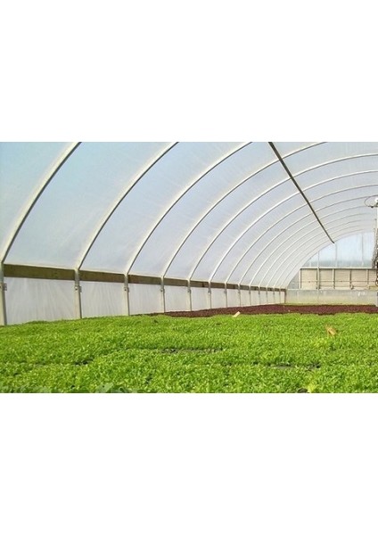 36 Aylık 350 Mikron Sera Naylonu 10 m x 12 m