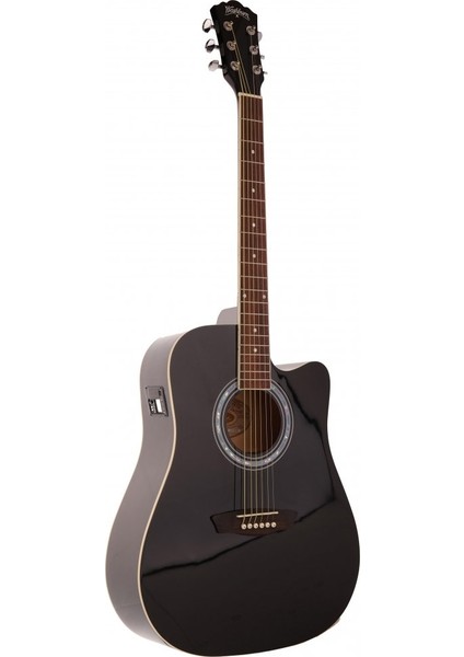 WA90CEB Elektro Akustik Gitar modelleri
