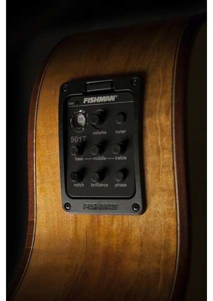 Comfort Serisi WCG66SCE Elektro Akustik Gitar modelleri