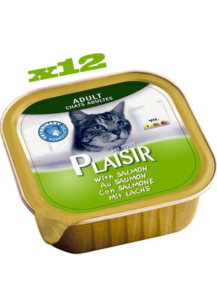 Somonlu Pate Yaş Kedi Maması 100 gr x 12 Adet