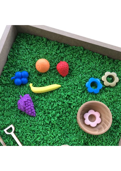 Ahşap Montessori Duyusal Oyun Seti - Tarım fırsatları