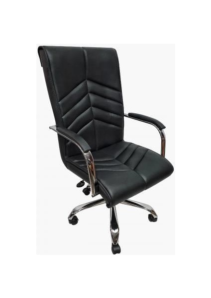 Label Müdür Koltuğu Ofis Koltuğu Büro Koltuğu Makam Koltuk Yönetici Çalışma Koltuk Bilgisayar Koltuk