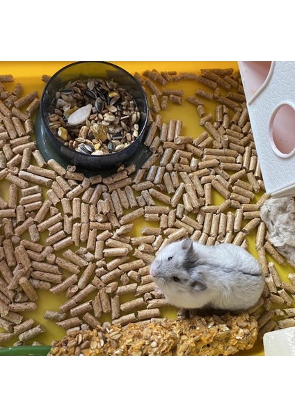Kemirgen Tavşan Hamster Ginepig Guinea Pig Pelet Maması Yemi 25 kg fırsatları