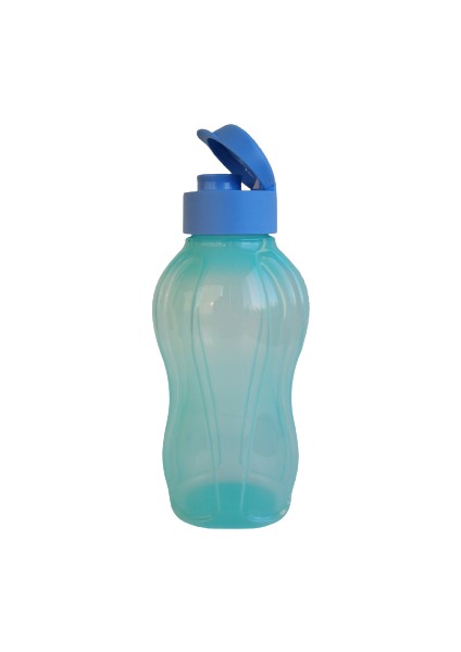 Mavi Eko Şişe - 750 ml