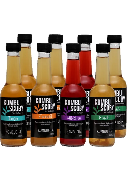 Kombu Scoby Kombucha Karışık - Kombu Çayı 8 Adet x 250 ml