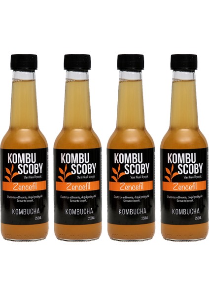 Kombucha Zencefil - Kombu Çayı 4 Adet x 250 ml