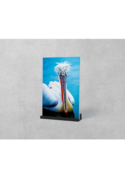 Ayaklı Blok Tablo | Swan 48×69 fiyatları