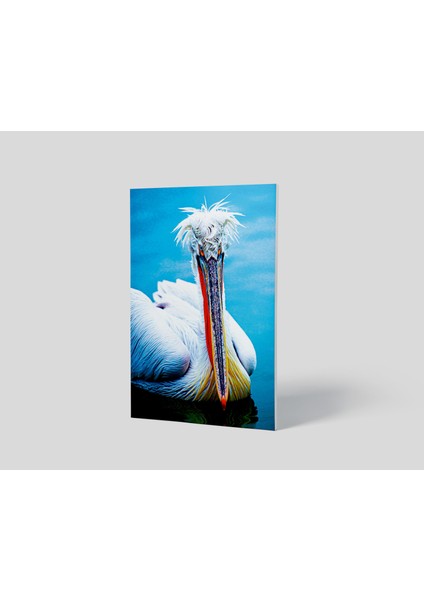 Blok Tablo | Swan 48×69 fiyatları