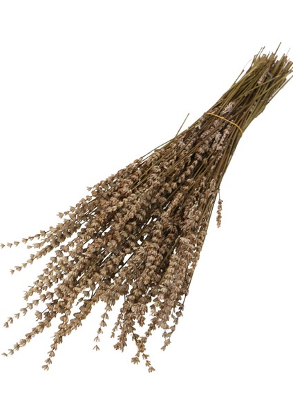 Şoklanmış Dökülmeye Dayanıklı Lavanta Demeti Naturel (100 Gr