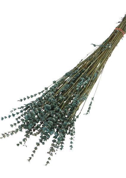 Şoklanmış Dökülmeye Dayanıklı Lavanta Demeti Petrol Mavi (100 Gr