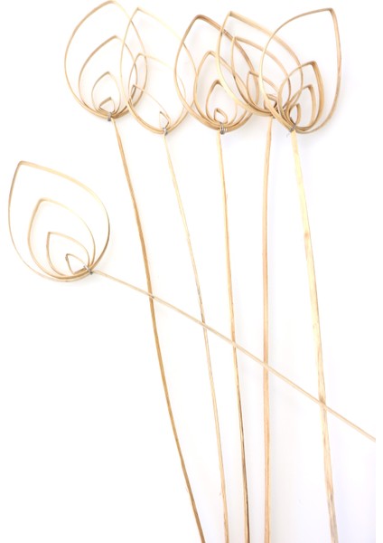 6lı Cane Pradeep 60 cm
