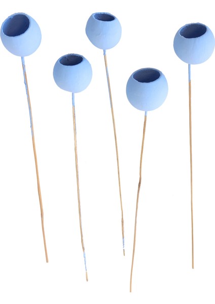 Dekoratif Bell Cup 5li Tropic Kabak Mavi