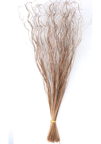 Tropic Laser Bunch Grass 100 cm Naturel Dalgalı