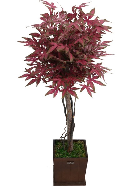 Yapay Bodur Çınar Ağacı 110 cm Kızıl