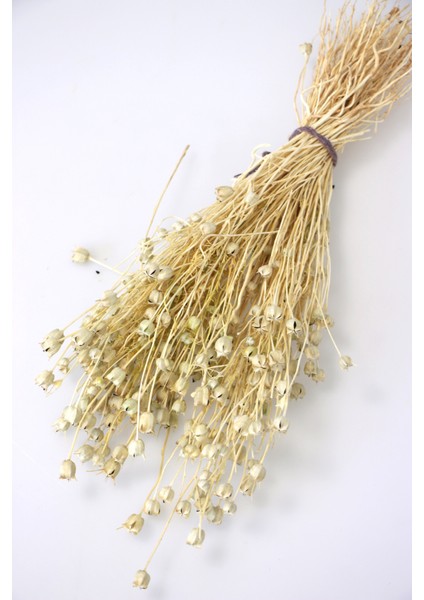 Kuru Çiçek Nigella Bitkisi Demeti Naturel