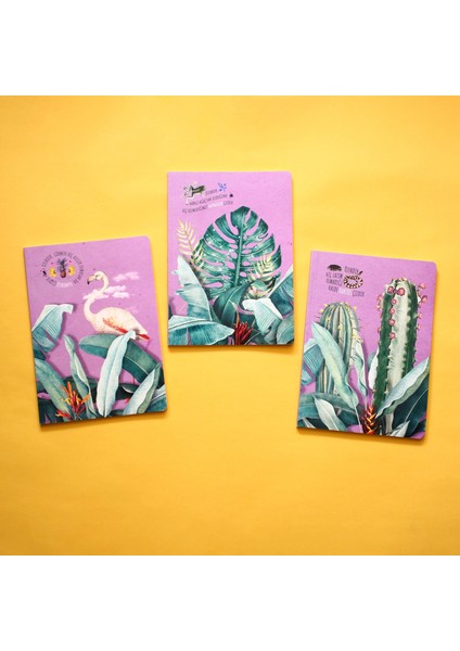 Özenti Üçlü Defter Seti fırsatları