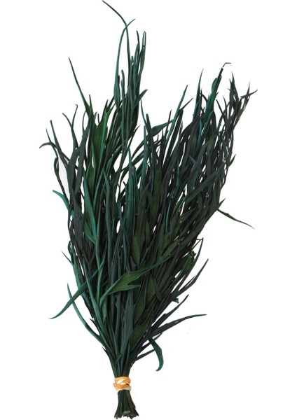 Dekoratif Kurutulmuş Yeşil Mini Bitki 20 cm Gavellia Leaves