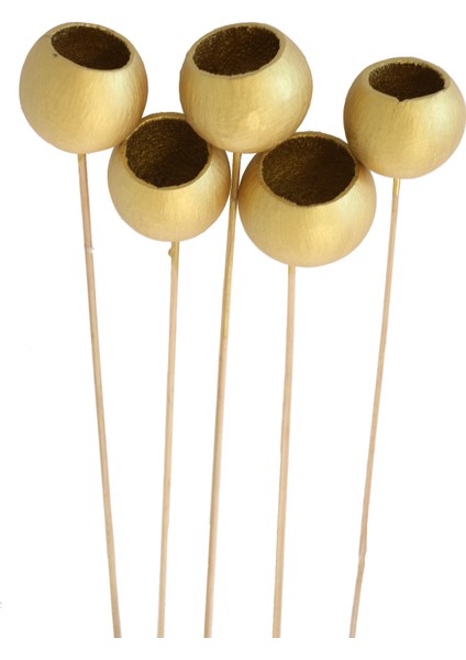 Dekoratif Bell Cup 5li Tropic Kabak Bronz