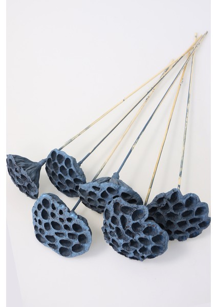 Succulent Lotus Plant Lotus Çiçeği Bambu Saplı 6 Adet Duman Mavisi