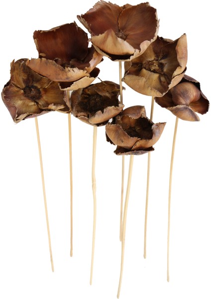 Kuru Çiçek 7li Palm Cup Demeti 45 cm Naturel