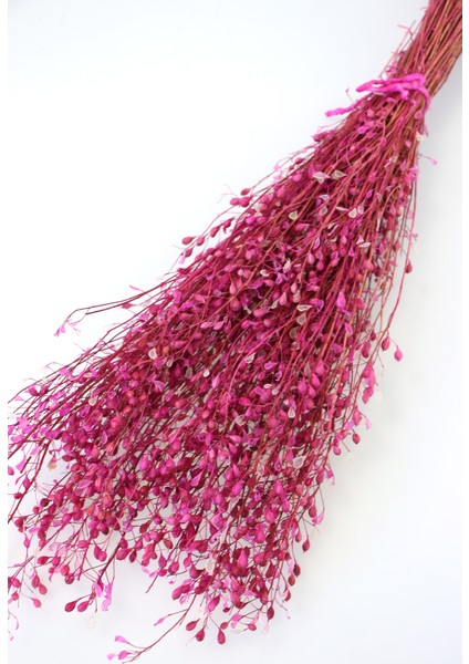 Kuru Çiçek Tomurcuk Otu Demeti 45 cm Pembe