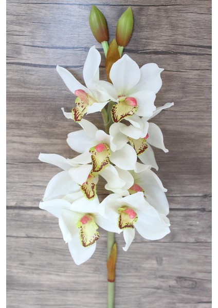 Yapay Delüx Islak Singapur Orkidesi 60 cm Beyaz