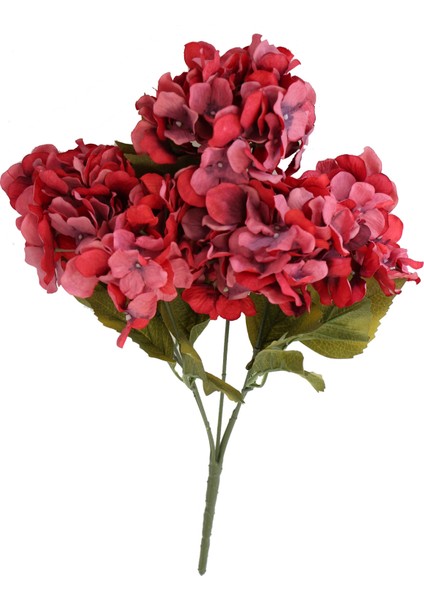 5 Dal Lux Pastel Ortanca Demeti Pastel Kırmızı