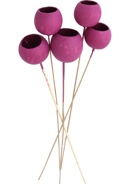 Dekoratif Bell Cup 5li Tropic Kabak Erguvan
