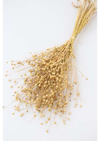 Kuru Çiçek Luna Keten Otu 60GR Naturel