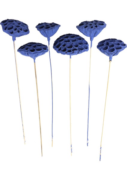 Succulent Lotus Plant Lotus Çiçeği Bambu Saplı 6 Adet Saks Mavi