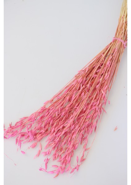 Kuru Çiçek Yulaf Otu Demeti 50 cm Pembe