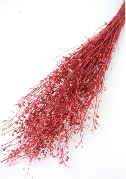 Kuru Çiçek Tomurcuk Otu Demeti 45 cm Kırmızı