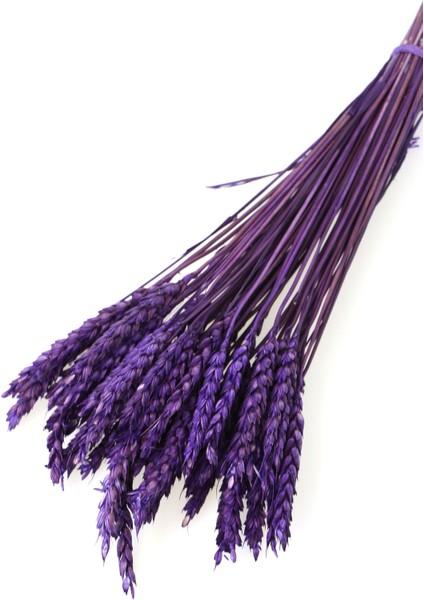 Ithal Kuru Başak Demeti Mor 45LI